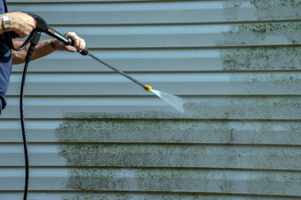 Best Affordable Pressure Washing  in Tekamah, NE